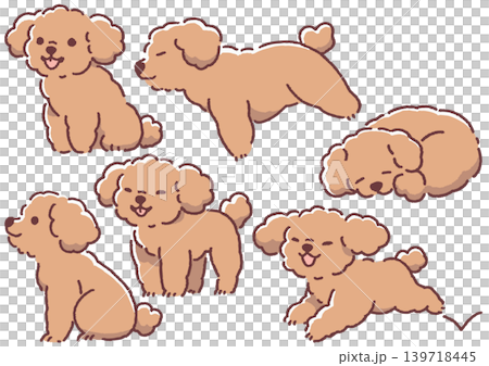 插畫素材：簡約可愛狗狗插畫套組 - 玩具貴賓犬姿勢合輯_豐富型② 139718445