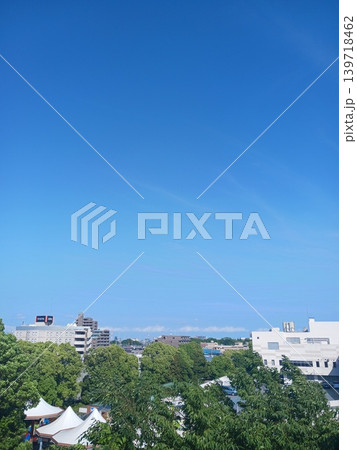 黄色いコレオプシスの花々が咲き誇る 139718462