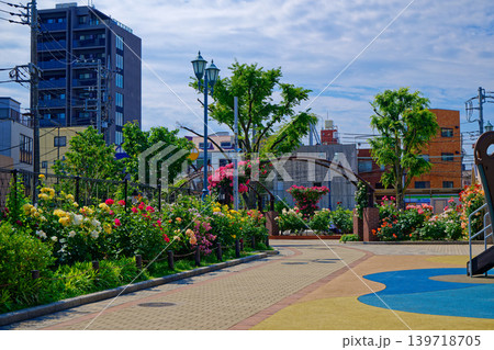 都電沿線のカラフルなバラの花　あらかわ遊園　荒川遊園地 139718705