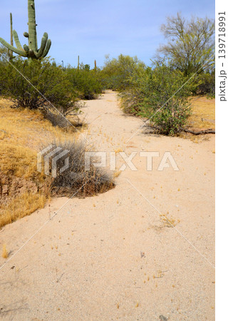 Arizona Desert Arroyo Arizona Desert Arroyo 139718991