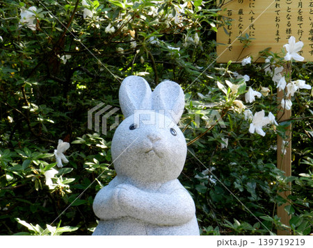 富山県高瀬神社 感謝うさぎ1 富山県高瀬神社 感謝うさぎ1 139719219