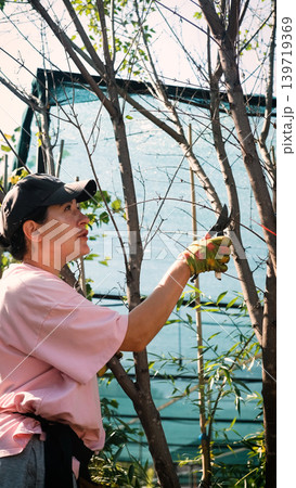 A woman uses pruning shears to trim tree branches in her garden in spring. Garden tool. A woman uses pruning shears to trim tree branches in her garden in spring. Garden tool. 139719369