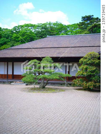 《香川県》栗林公園・水辺・池 《香川県》栗林公園・水辺・池 139719485