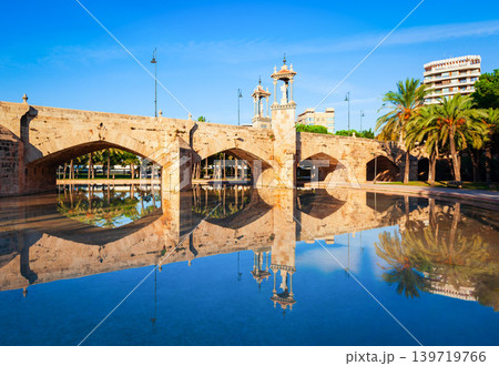 The Puente del Mar bridge in Valencia, Spain 139719766