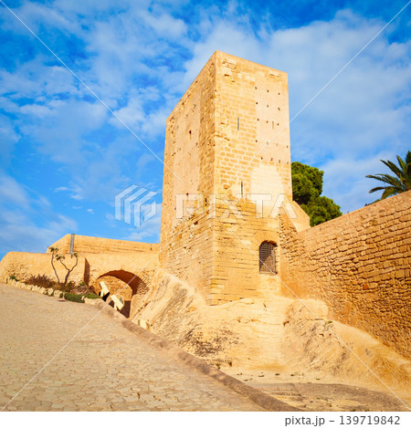 Santa Barbara Castle in Alicante, Spain 139719842