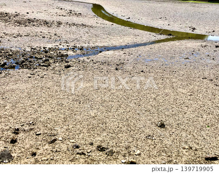 干潟の泥と無数の巻貝 潮が引いた後の日本の海岸風景 干潟の泥と無数の巻貝 潮が引いた後の日本の海岸風景 139719905