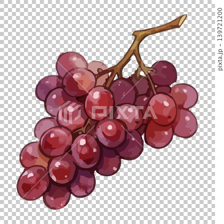 紅酒、白酒和氣泡酒的插圖 139721200