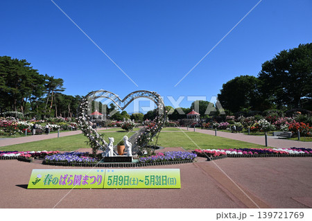 敷島公園バラ 139721769