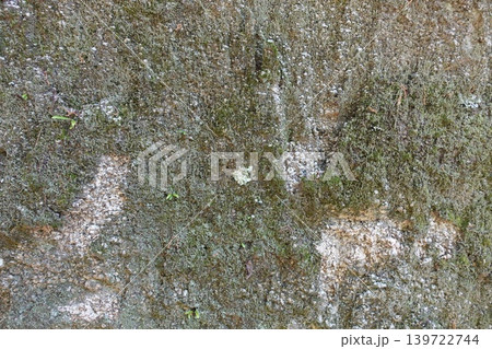 苔と岩肌が織りなす自然の石壁テクスチャ背景 苔と岩肌が織りなす自然の石壁テクスチャ背景 139722744