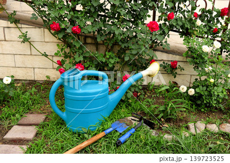 watering can with garden tools on the yard watering can with garden tools on the yard 139723525