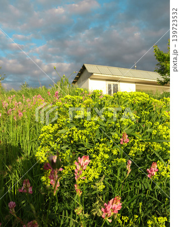 summer landscape with a house roof summer landscape with a house roof 139723532