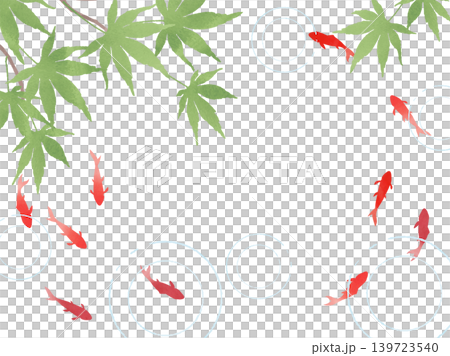 金魚和藍色楓葉相框 金魚和藍色楓葉相框 139723540