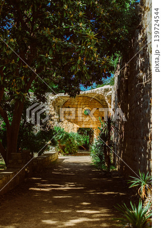 Amazing view of the old park on the Lokrum island near Dubrovnik, Croatia. Travel destination in Croatia. Amazing view of the old park on the Lokrum island near Dubrovnik, Croatia. Travel destination in Croatia. 139724544