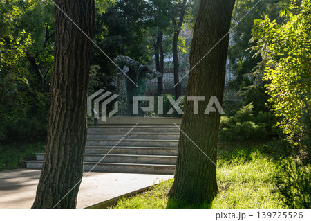 Artistic fountain in park with marble stairs Artistic fountain in park with marble stairs 139725526
