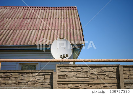 A white satellite dish is mounted below a weathered red corrugated roof on a house with white siding A white satellite dish is mounted below a weathered red corrugated roof on a house with white siding 139727550