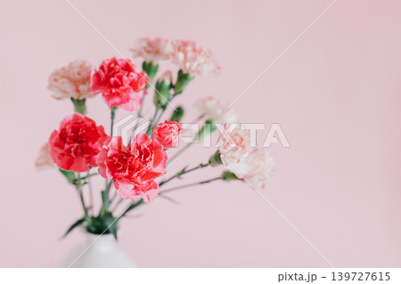 Beautiful pink Carnation flowers in a vase on a pink pastel background. \ Beautiful pink Carnation flowers in a vase on a pink pastel background. \ 139727615