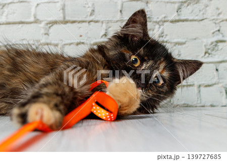 Beautiful little cat girl on a background of a brick wall Beautiful little cat girl on a background of a brick wall 139727685