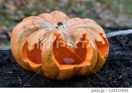 Beautiful pumpkins for halloween Beautiful pumpkins for halloween 139727691