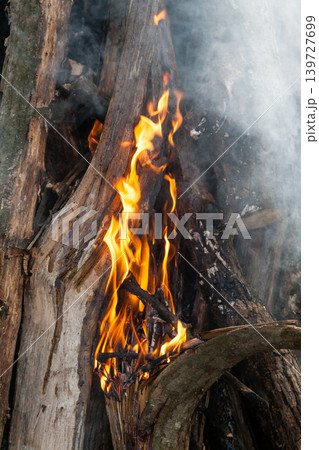 Beautiful fire flames on a campfire Beautiful fire flames on a campfire 139727699