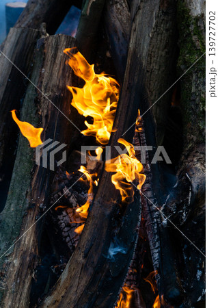 Beautiful fire flames on a campfire 139727702