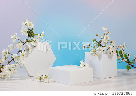 Abstract floral arrangement with cherry. Aesthetically pleasing cosmetic display case with floral decor for showcasing beauty products. Minimalistic, modern design. Creative template for your design Abstract floral arrangement with cherry. Aesthetically pleasing cosmetic display case with floral decor for showcasing beauty products. Minimalistic, modern design. Creative template for your design 139727869