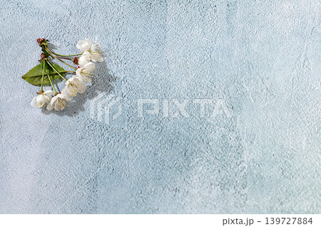 Still life with beautiful spring cherry blossom against an elegant background, Abstract floral arrangement and banner for the screen.floral holiday card with a summer greeting, design template Still life with beautiful spring cherry blossom against an elegant background, Abstract floral arrangement and banner for the screen.floral holiday card with a summer greeting, design template 139727884