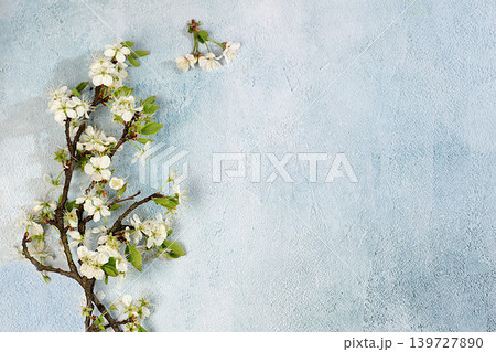 Still life with beautiful spring cherry blossom branches against an concrete background,Abstract floral arrangement and banner for the screen. floral holiday card with summer greeting, design template Still life with beautiful spring cherry blossom branches against an concrete background,Abstract floral arrangement and banner for the screen. floral holiday card with summer greeting, design template 139727890
