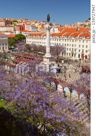 Pedro IV Monument and Blooming Jacaranda Trees at Rossio Square Lisbon 139727947