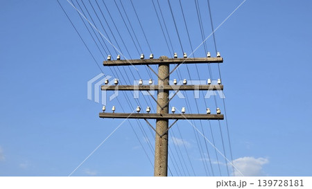 Old utility pole with wooden crossarms ceramic insulators and multiple wires against clear blue sky, concept of telecommunications and energy infrastructure Old utility pole with wooden crossarms ceramic insulators and multiple wires against clear blue sky, concept of telecommunications and energy infrastructure 139728181