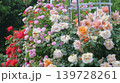 薔薇のパレット 139728261