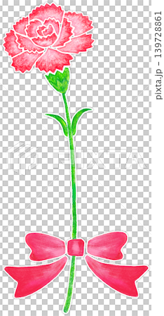 Hand-painted style carnation flower (1 stem) with white border and ribbon. Hand-painted style carnation flower (1 stem) with white border and ribbon. 139728861