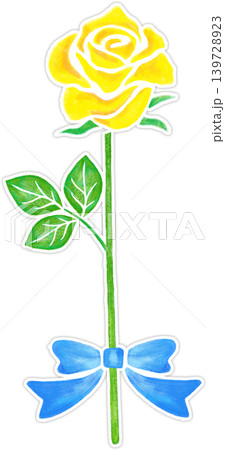 色い薔薇_白い縁あり_大きな青いリボン付き 139728923