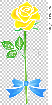 色い薔薇_白い縁あり_大きな青いリボン付き 139728923