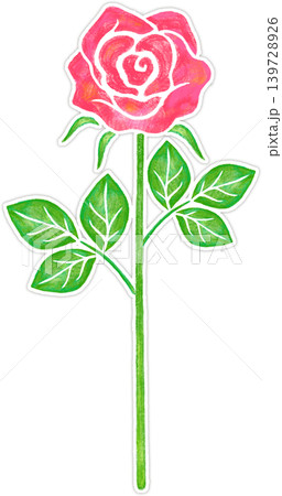 薔薇の花_赤い薔薇の花_白い縁あり 139728926