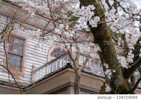 明治記念館の桜 明治記念館の桜 139729008