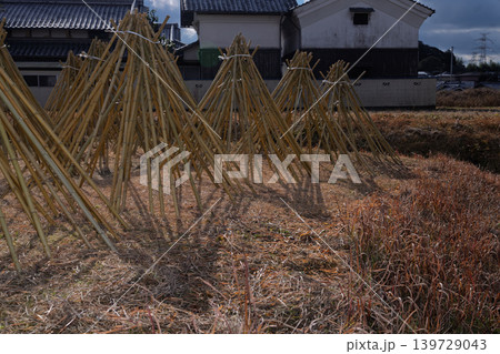 奈良県生駒市高山地区の茶せんの原料となる竹を寒日干ししている状況を撮影したもの 奈良県生駒市高山地区の茶せんの原料となる竹を寒日干ししている状況を撮影したもの 139729043