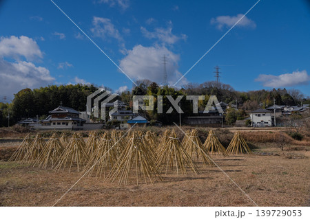 奈良県生駒市高山地区の茶せんの原料となる竹を寒日干ししている状況を撮影したもの 139729053