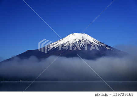 5月、山中湖畔の風景 (撮影地：山中湖畔) 139729169