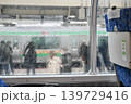 電車の車窓から見た大雨 139729416