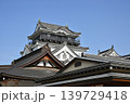 岡崎城 2026年5月 139729418