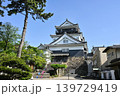 岡崎城 2026年5月 139729419