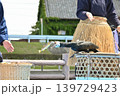鵜飼い イメージ 139729423