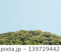 夏の青空と緑の木々 139729442
