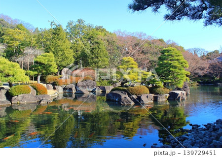 【姫路市】　好古園　御屋敷の庭 139729451