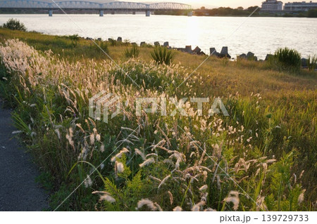 朝の河川敷にて 朝の河川敷にて 139729733