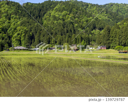 美山かやぶきの里に広がる水田の風景 美山かやぶきの里に広がる水田の風景 139729787