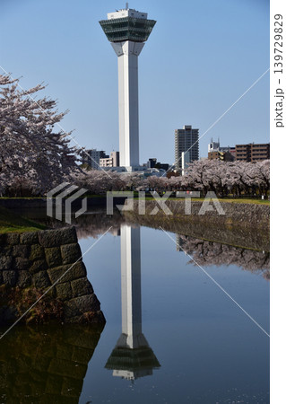 静かな朝の五稜郭タワーと桜 静かな朝の五稜郭タワーと桜 139729829