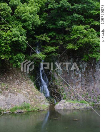 高知　毘沙門の滝 139729878