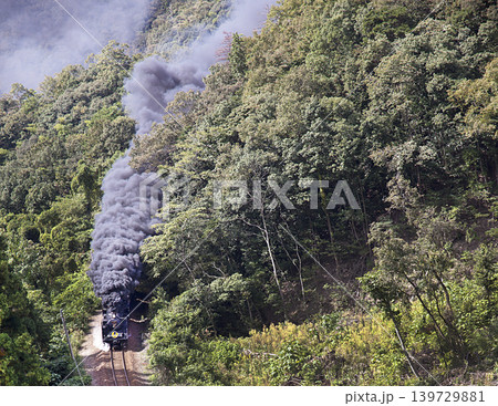 C57重連の峠越え 山口線 C57重連の峠越え 山口線 139729881