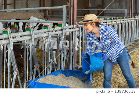 Female farmer feeding calf in the cowshed Female farmer feeding calf in the cowshed 139730315
